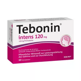 TEBONIN comprimidos recubiertos intensivos de 120 mg, 60 unidades