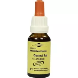 BACHBLÜTEN Murnauer Gotas de brote de castaño, 20 ml