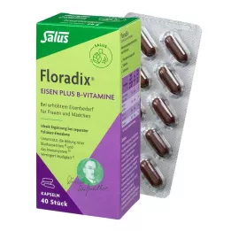 FLORADIX Cápsulas de hierro y vitaminas B, 40 uds