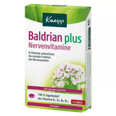 Kneipp Valeriana más grageas de vitaminas nerviosas, 40 piezas