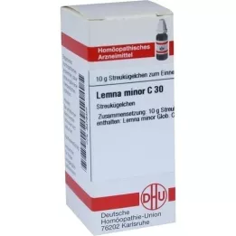 LEMNA menor C 30 glóbulos, 10 g