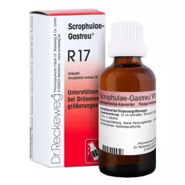 SCROPHULAE-Mezcla Gastreu R17, 50 ml