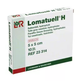 LOMATUELL H Pomada tul 5x5 cm estéril, 10 uds