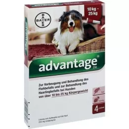 ADVANTAGE 250 solución para perros de 10-25 kg, 4 uds