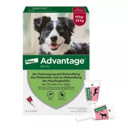 ADVANTAGE 250 solución para perros de 10-25 kg, 4 uds