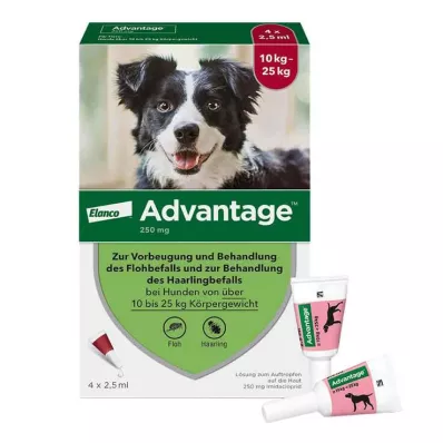 ADVANTAGE 250 solución para perros de 10-25 kg, 4 uds