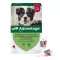 ADVANTAGE 250 solución para perros de 10-25 kg, 4 uds