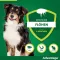 ADVANTAGE 250 solución para perros de 10-25 kg, 4 uds
