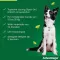 ADVANTAGE 250 solución para perros de 10-25 kg, 4 uds