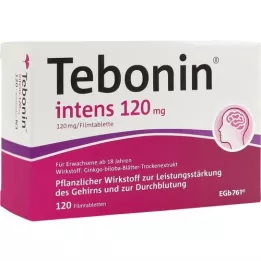 TEBONIN comprimidos recubiertos intensivos de 120 mg, 120 unidades
