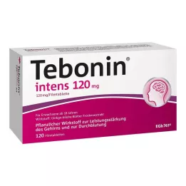 TEBONIN comprimidos recubiertos intensivos de 120 mg, 120 unidades