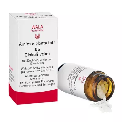 Árnica E Planta total D 6 glóbulos, 20 g
