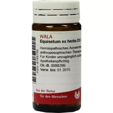 EQUISETUM EX Herba D 3 glóbulos, 20 g