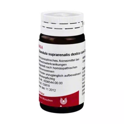 Glandula suprarenal Dextra c., 20 g Glandula suprarenal Dextra c., 20 g