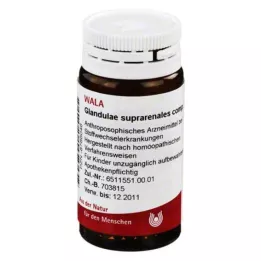 GLANDULAE SUPRARENALES glóbulos comp., 20 g