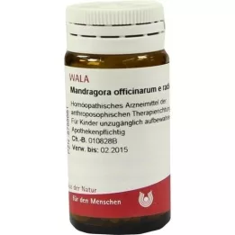 MANDRAGORA OFFICINARIUM e radice D 6 glóbulos, 20 g