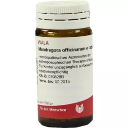 MANDRAGORA OFFICINARIUM e radice D 6 glóbulos, 20 g