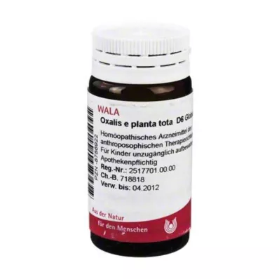 Oxalis E Planta Tota D 6 glóbulos, 20 g