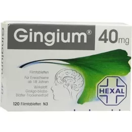 GINGIUM 40 mg comprimidos recubiertos con película, 120 uds