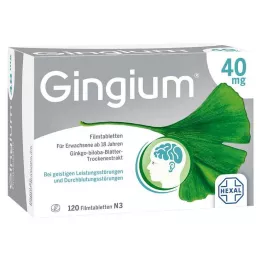 GINGIUM 40 mg comprimidos recubiertos con película, 120 uds