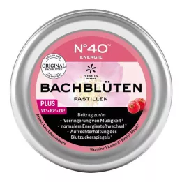 ENERGIE BACHBLÜTENPASTILLEN según el Dr.Bach, 50 g