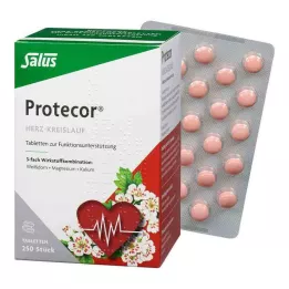 PROTECOR Tabl.z.Funktionsunt.Salus Cardiovascular, 250 uds