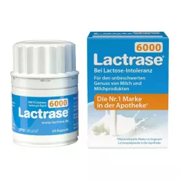 Lactasa 6.000 FCC cápsulas, 60 piezas