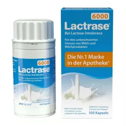 LACTRASE 6.000 FCC Cápsulas, 100 uds