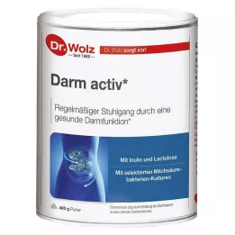 DARM ACTIV Dr.Wolz Polvo, 400 g