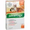 ADVANTAGE 40 mg solución para pequeños gatos/pequeños conejos de compañía, 4X0,4 ml