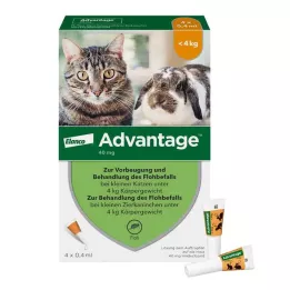 ADVANTAGE 40 mg solución para pequeños gatos/pequeños conejos de compañía, 4X0,4 ml
