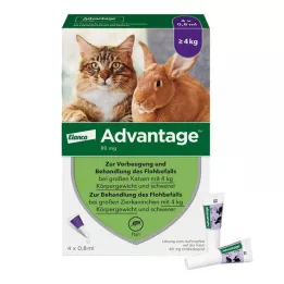 ADVANTAGE 80 mg para gatos grandes y conejos, 4X0,8 ml