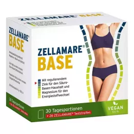 ZELLAMARE Base y tiras de base, 30 piezas