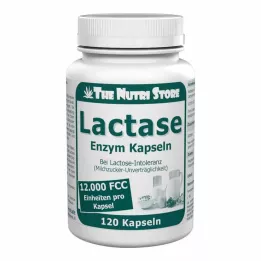 LACTASE 12.000 FCC Cápsulas de enzimas, 120 uds