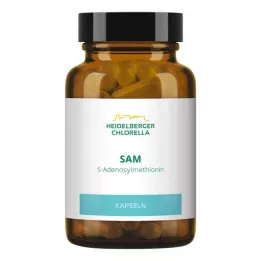 SAM S-ADENOSYLMETHIONIN Cápsulas, 60 uds