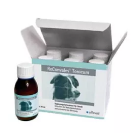 RECONVALES Tónico para perros, 6X90 ml