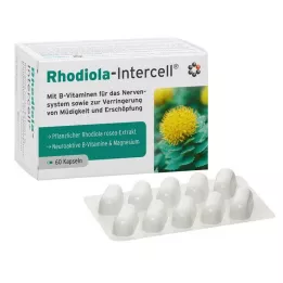RHODIOLA-INTERCELL Cápsulas, 60 uds