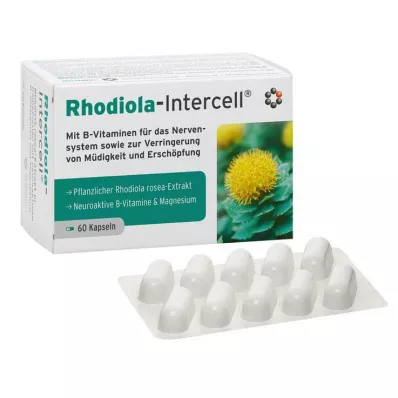 RHODIOLA-INTERCELL Cápsulas, 60 uds