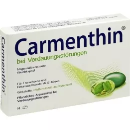 CARMENTHIN para la indigestión msr.soft caps., 14 pcs