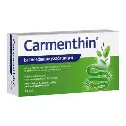 CARMENTHIN para la indigestión msr.soft caps., 42 pcs