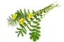 Instructions for use for GASTEO Gotas para afecciones gastrointestinales, 20 ml - 8