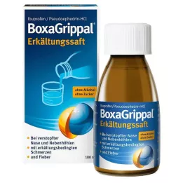 BOXAGRIPPAL Zumo frío, 100 ml