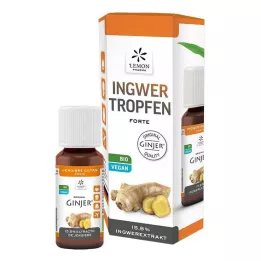 INGWER GINJER gotas forte, 20 ml