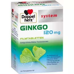 DOPPELHERZ Ginkgo 120 mg sistema comprimidos recubiertos con película, 120 uds