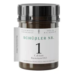 SCHÜSSLER NR.1 Calcium fluoratum D 12 comprimidos, 400 uds