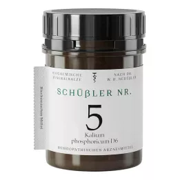 SCHÜSSLER No.5 Kalium phosphoricum D 6 Comprimidos, 1000 uds