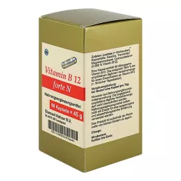 Cápsulas de vitamina B12 Forte N, 90 piezas