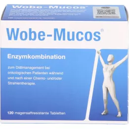 WOBE-MUCOS comprimidos con cubierta entérica, 120 unidades