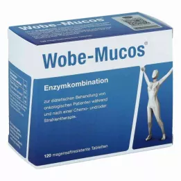 WOBE-MUCOS comprimidos con cubierta entérica, 120 unidades