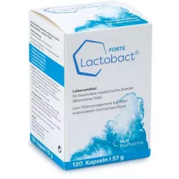 LACTOBACT Forte cápsulas con recubrimiento entérico, 120 uds